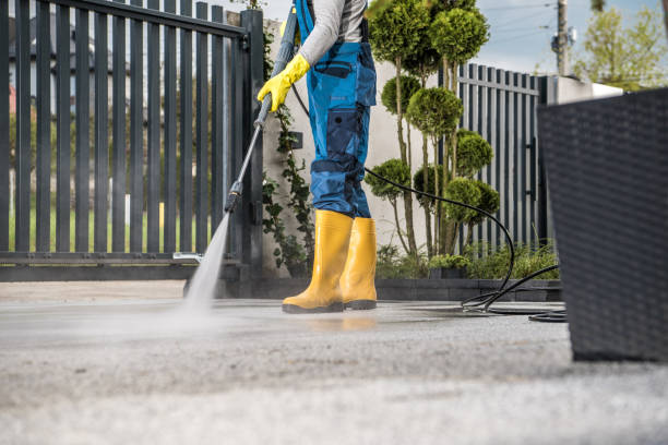 Deck Cleaning Services in Langley, WA